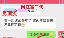 顶流网红爆料视频大全最新,视频大全背后的惊人真相