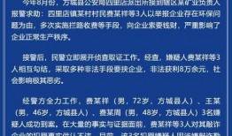 广西水电最新爆料信息,揭秘水电项目新进展与挑战