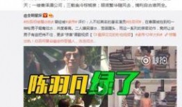 李平康最新爆料新闻视频,揭秘事件背后惊人真相