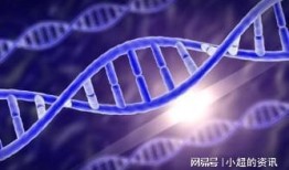 最新爆料nmn