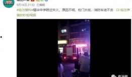 最新高校爆料视频大全