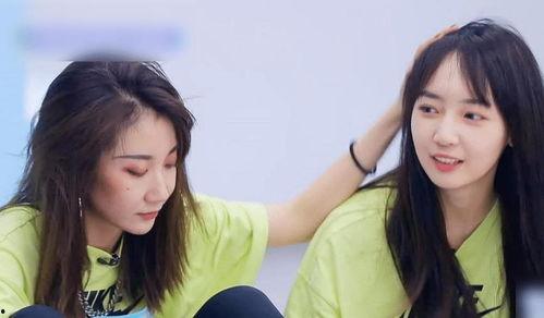 薛桐最新爆料,揭秘娱乐圈惊人内幕