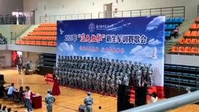 南京学校爆料视频最新消息,揭秘校园内幕，真相令人震惊