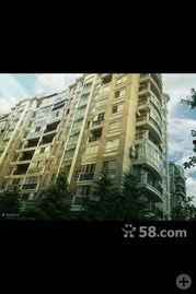 义乌银河湾小区最新爆料,揭秘神秘事件背后的真相