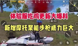 吃鸡新爆料最新视频,最新视频曝光，全新玩法与惊喜等你来探索！