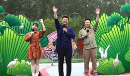 侠岚最新爆料新闻视频播放,神秘剧情揭晓，精彩片段抢先看！