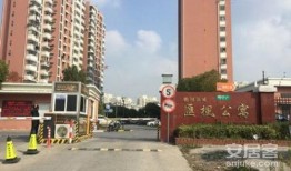 桃园新城最新爆料信息网,揭秘未来城市生活新篇章