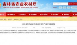 通化隔离最新爆料信息,揭秘隔离生活现状与挑战