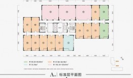 古董商最新爆料新闻视频,古董商独家披露珍稀藏品背后的故事