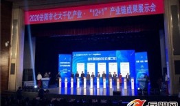 岳阳最新爆料新闻报道