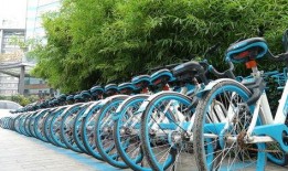 郑州自行车最新爆料,绿色出行新选择，未来骑行生活即将开启