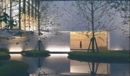 戈雅光电爆料最新消息