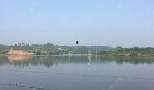 当阳三八水库爆料最新消息,最新爆料揭示惊人真相！”