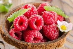 树莓最新爆料视频