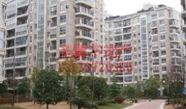 义乌银河湾小区最新爆料,揭秘神秘事件背后的真相