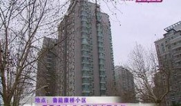 康桥爆料最新消息,最新热点事件深度解析