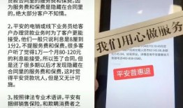 平安普惠爆料最新消息,揭秘行业动态与战略布局