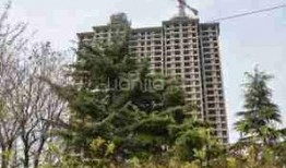 石家庄桃源里最新爆料,揭秘高端住宅区的神秘面纱