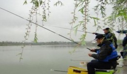 春天钓鱼爆料最新消息视频,揭秘最新爆料视频精彩瞬间