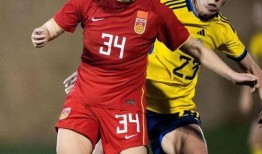 瑞典女足爆料最新消息,揭秘赛场幕后故事与备战动态