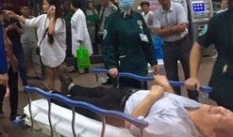 湖北爆料最新新闻事件,聚焦突发社会事件真相揭晓