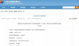 鱼珠最新爆料,揭秘行业内幕，带你走进真实市场风云