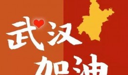武汉加油最新爆料,抗疫英雄再创辉煌——最新爆料揭秘！