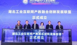 龙子湖大学爆料新闻最新,揭秘校园风云事件背后的真相