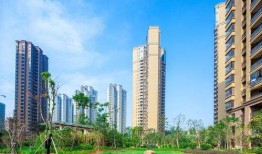 武汉住宅爆料事件最新消息,最新进展揭秘，业主维权真相曝光