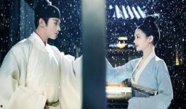 鹤唳华亭最新爆料,宫廷权谋再升级，神秘人物浮出水面