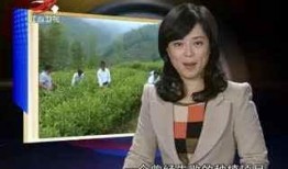 许峰节目爆料最新消息视频