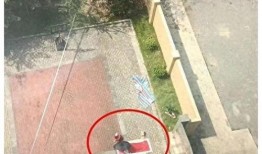 锡场事件爆料最新消息,揭秘背后真相与影响