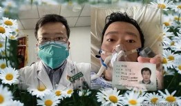 新冠医生爆料最新消息,最新疫情动态与防控策略解析