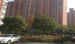 桃园新城最新爆料信息网,揭秘未来城市生活新篇章