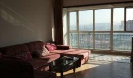 石家庄公寓爆料最新消息