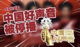 中国好声音事件爆料最新,独家爆料揭露惊人内幕