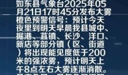 如东头条最新爆料,揭秘重大事件背后真相！