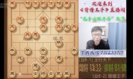 象棋王子最新爆料23,最新爆料23背后的惊人内幕