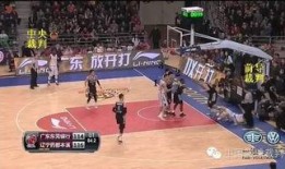 篮球裁判爆料视频最新消息,揭秘赛场幕后真相