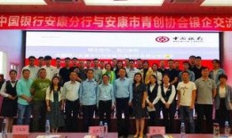 银安康最新爆料,揭秘金融行业惊天内幕