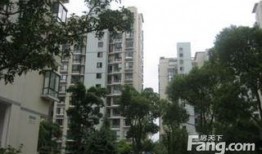 和平锦苑爆料视频最新,揭秘小区动态与民生关注