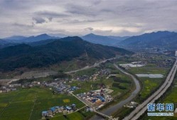 重庆新冠源头爆料最新,揭秘病毒起源之谜