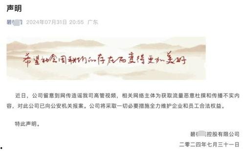 地产爆料视频大全最新,揭秘行业内幕，深度解析房地产市场动态